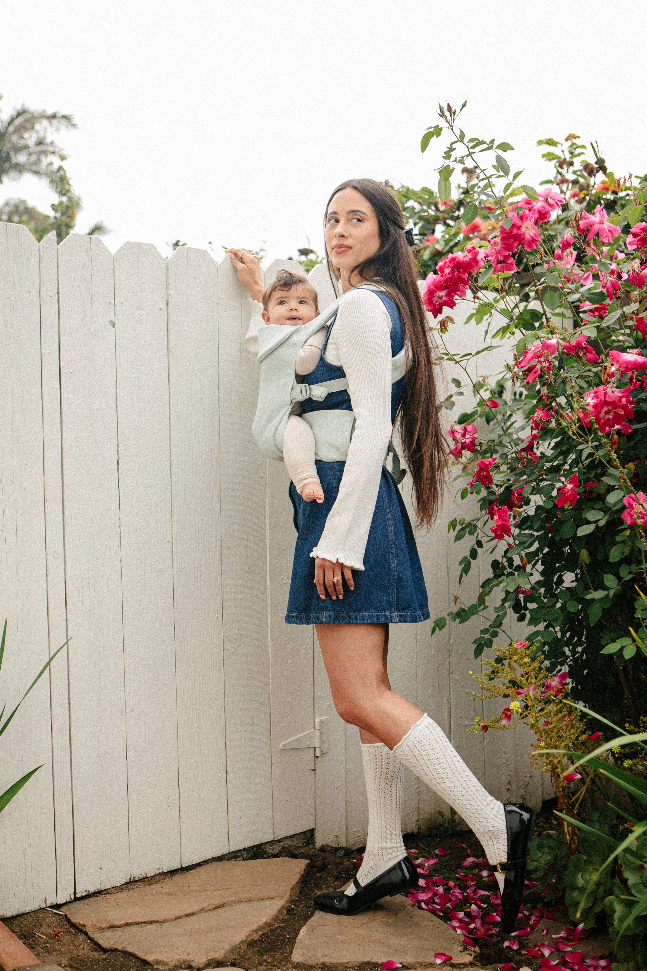 Damson - Aerial Carrier - Image 2